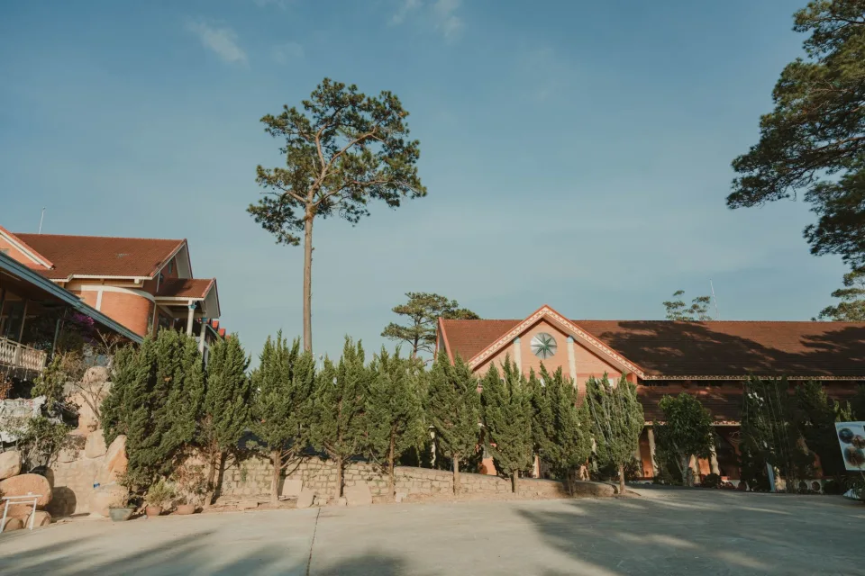 Hình ảnh tại Phan Thị Hoa Trang 5
